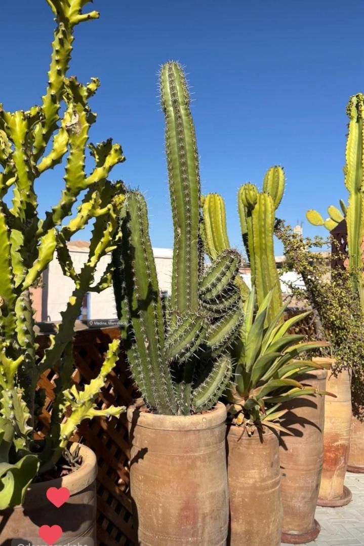 Riad Dar Marrakcha Marrakesh Esterno foto